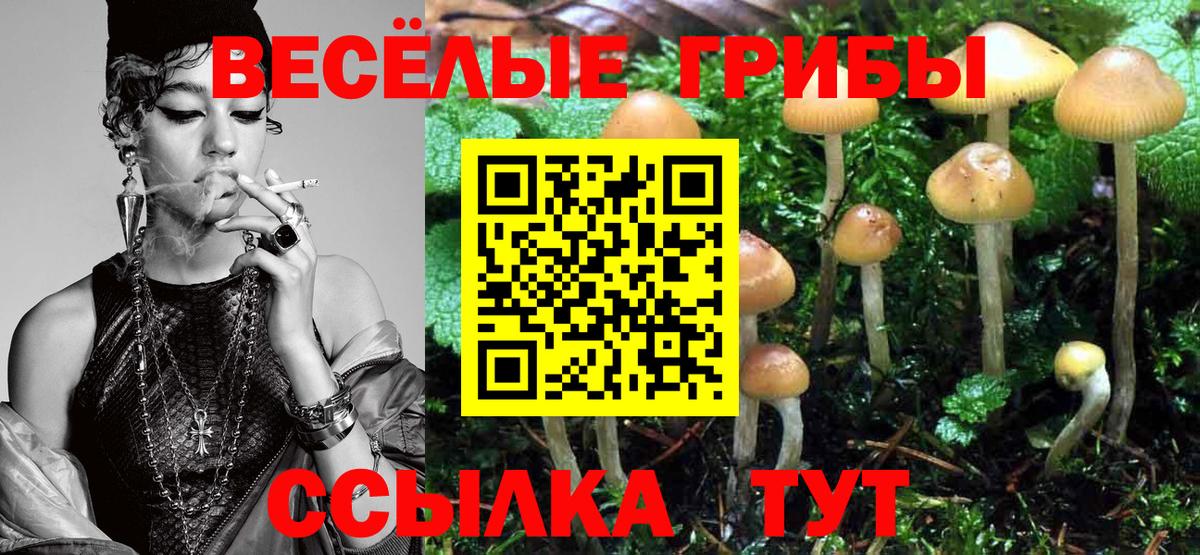 Псилоцибиновые грибы Psilocybe  Вход с VPN  Советский 