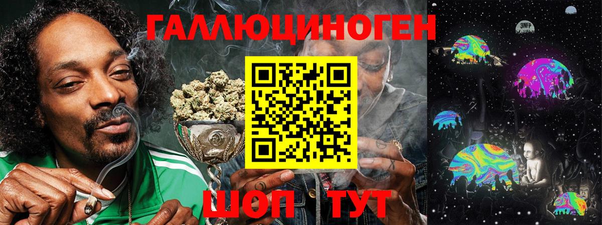 Псилоцибиновые грибы Psilocybe Советский