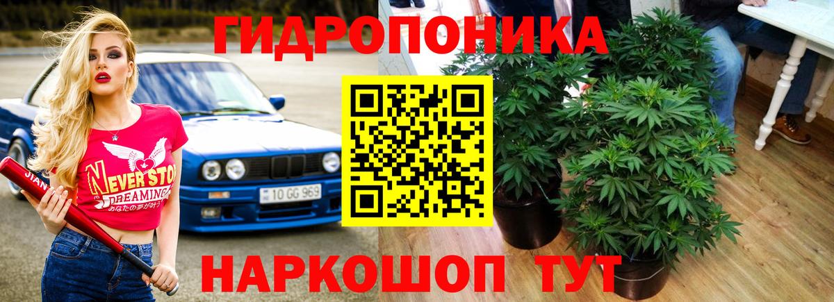МАРИХУАНА гибрид Советский
